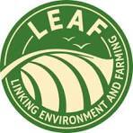 leaf-marque